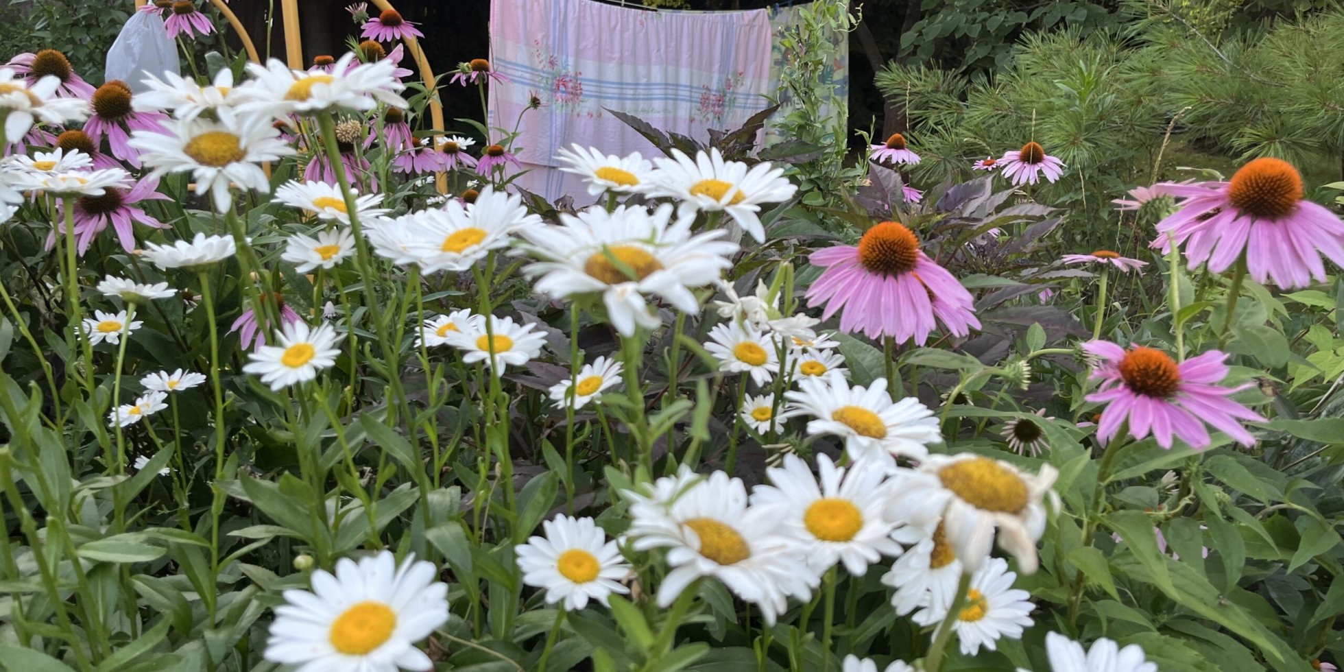 OPEN CALL: Residency 2026